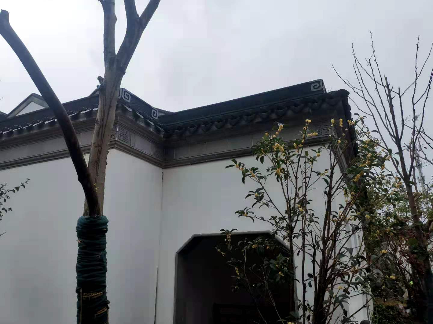 工程案例